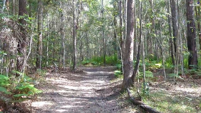 Что обычно едят в Австралии. (видео 201) смотреть онлайн