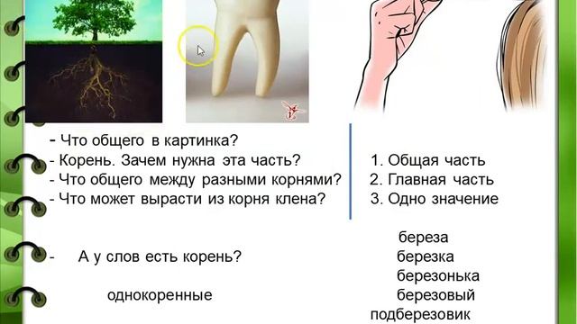 Не вырастешь корень. Что общего картинки. Что общего у этих картинок. Из одного корня растет несколько волос. Методика 4. случайное слово.