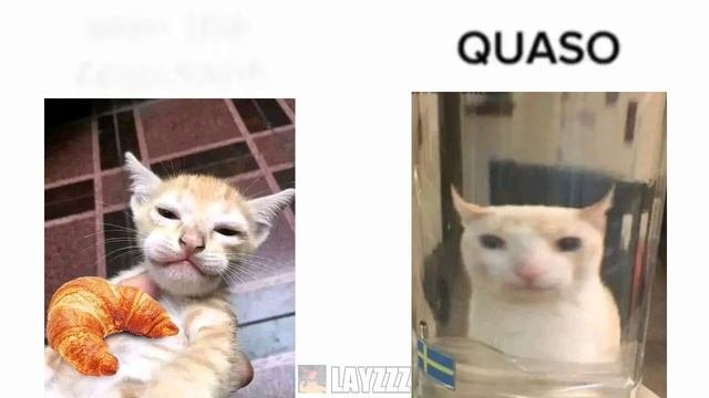 Quaso ?