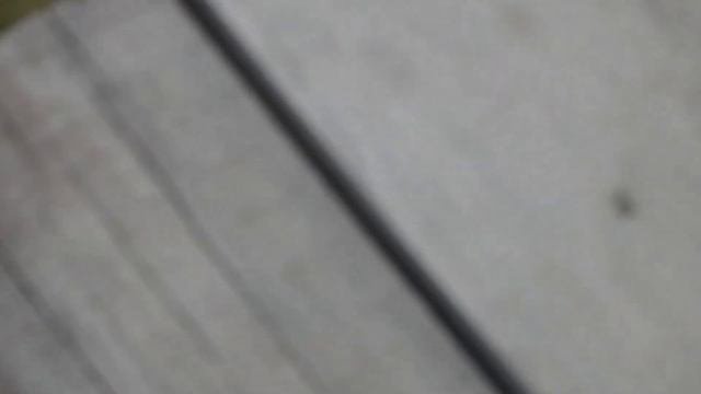 ОНИ ВОКРУГ НАС. ДРЕВОТОЧЕЦ.