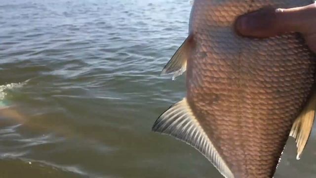 Рыбалка руками ! Обское море !!! смотреть онлайн