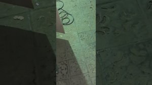 Износ помпы Тойота марк 2 90 кузов