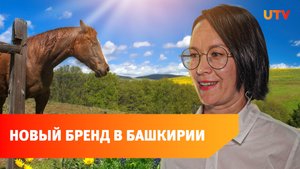 Башкирская лошадь стала брендом. Как отличить поддельную?