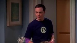 Шелдон наводит порядок Педантичный тип