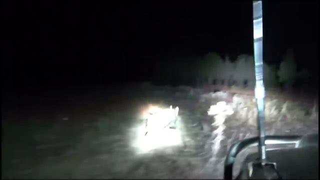 Wild Boar Hunting with dogs Action Compilation part 2 смотреть онлайн