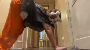 ☘️ТУТОР НА БЕГ РЫСИ🐾