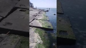 Шок!Что твориться? Медузы на Азовском море. Бердянск. Пляж Лиски.
