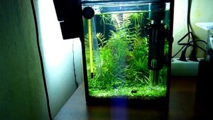 наружный фильтр типа «Каскад» Sobo WP 303 H