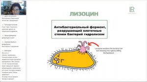 Колострум от LR   Биохимический состав