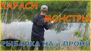 Караси речные монстры. Мой самый крупный карась. Рыбалка на Проне