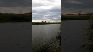 Ветерок 12 на пвх