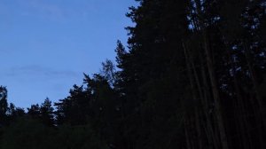 ПЕВУНЬИ НАШЕГО ЛЕСА . ИНГА ХОСРОЕВА . ВЕДЬМИНА ИЗБА.