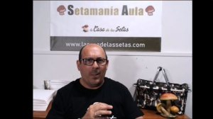 La Casa de las Setas, Patrocinador Oficial de Setamania.