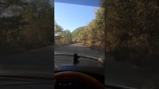 Приморье . Сентябрь 2023 смотреть онлайн