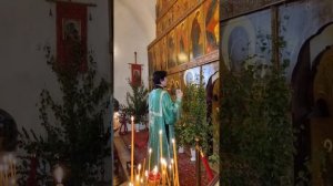 4.06.23г. Божественная Литургия. Поздняя. Возглавляет Настоятель о.Агафон.