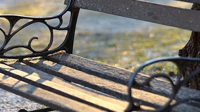 Отчего так в России берёзы шумят?