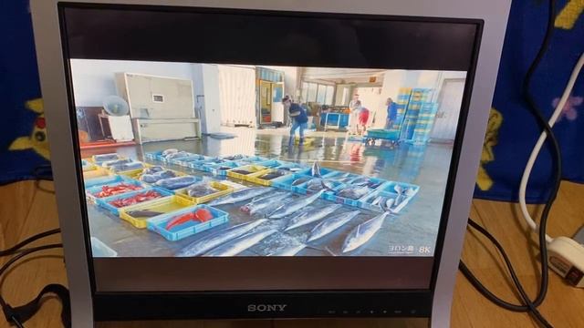 SONY SDM-HS75P demo смотреть онлайн