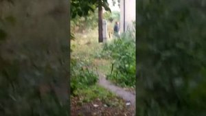 Поиск в омске закладок(1)