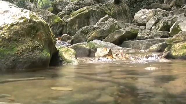 Ялта 2008 смотреть онлайн