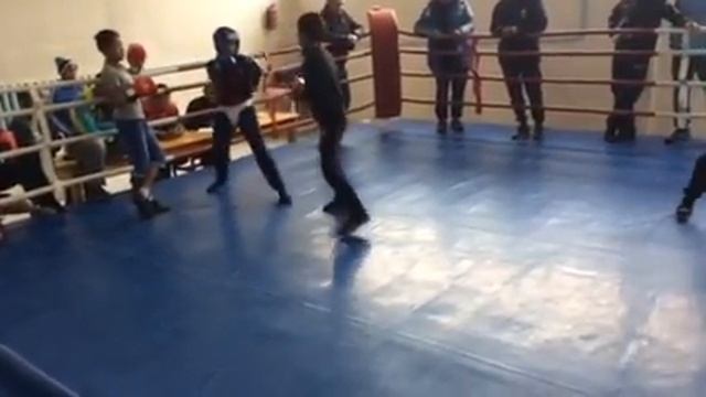 Маленький боксёр хорошо боксуется смотреть онлайн