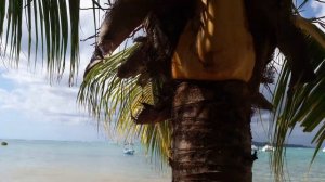 Paradise beaches of Mauritius ep.1 Bain Boeuf beach / Райские  пляжи Маврикия эпизод 1