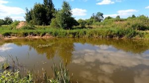 Вылов малька на вершу, морду. Падает кислород в пруду? Советы из личного опыта. Караси на вершу.