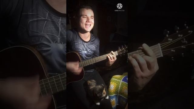 HENSY - Полевые цветы / Кавер на гитаре 2021 смотреть онлайн