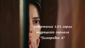 Содержание 151 серии турецкого сериала "Зимородок 2" (РФ, 2023)