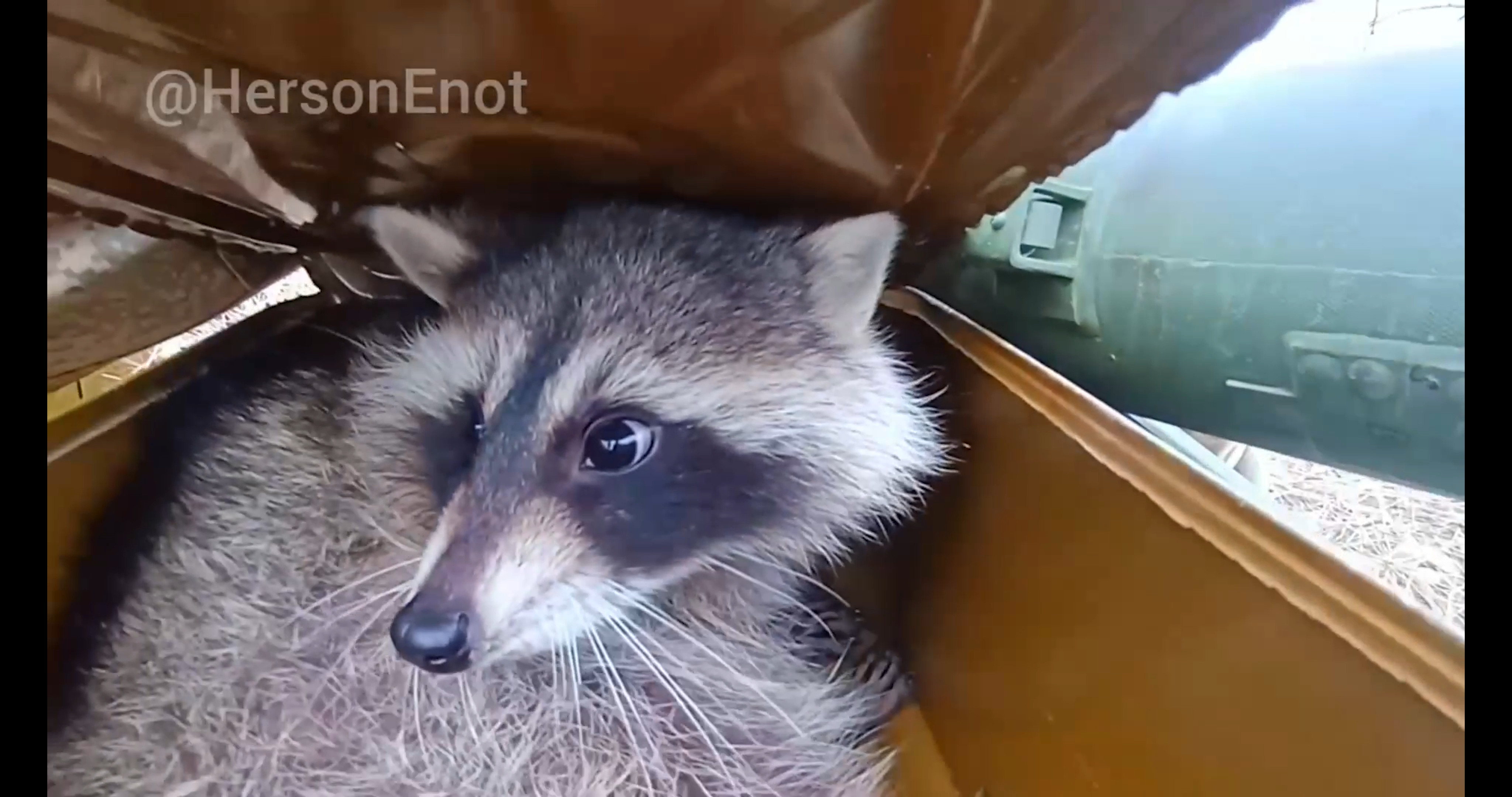 Xerson Енот едет с БМД и танками в тяжелые бои!--Креммина--CBO 2023