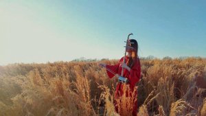 You Raise Me Up| Josh Groban| Erhu Cover by Cathy Yang