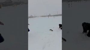 Драка. Толпой на одного. Девушки против парня