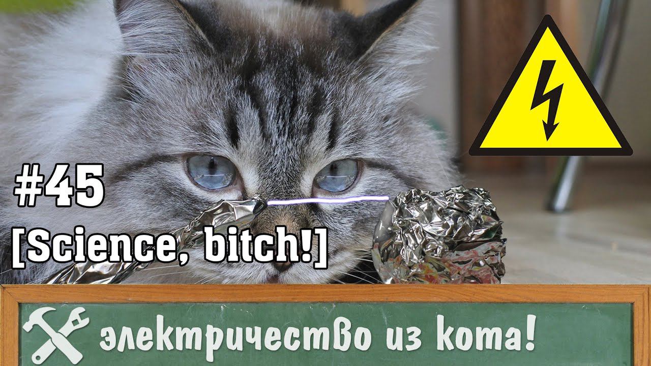 Бесплатное электричество из кота, или лейденская банка своими руками
