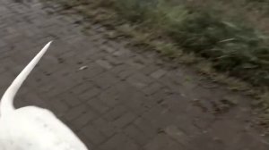 Гражданская оборона - На дальней станции сойду