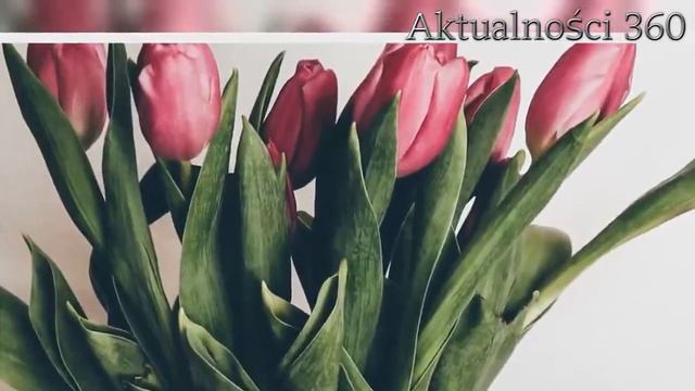 Fenomenalny trik kwiaciarek na przedłużenie żywotności ciętych kwiatów. Będą piękne i wytrzymałe ja смотреть онлайн