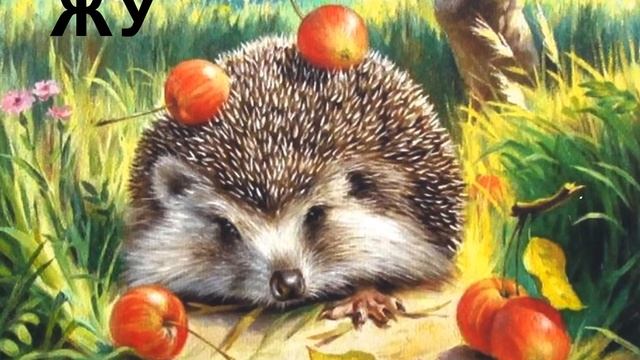 Е. Железнова "Весёлая логоритмика" - Ёж (ЖА, ЖУ, ЖЕ, ЖИ) смотреть онлайн