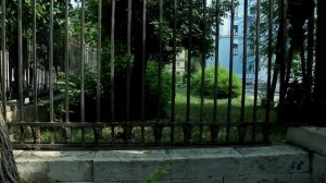 Интересные переходы для видео // Монтаж в Premiere Pro