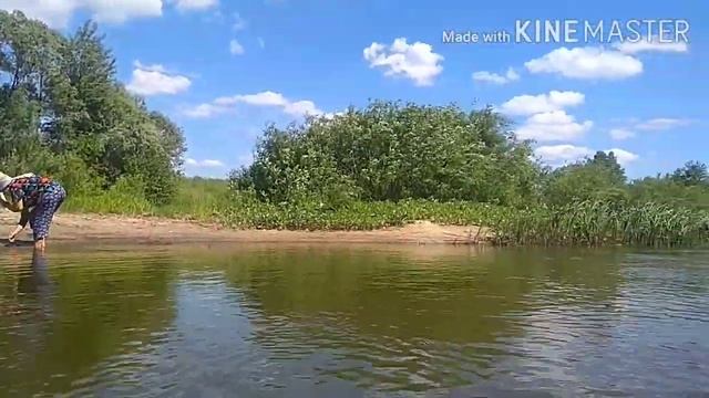 Хопёр в с.Зубрилово, Тамалинского района Пензенской области. 11.06.2022г смотреть онлайн