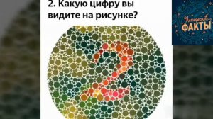 Только 1% Процентов людей Вижут Панду! Тест на Зрение