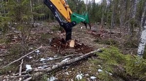 Корчеватель пней КИМ-600 Леспромресурс на экскаватор - видео в работе на делянке