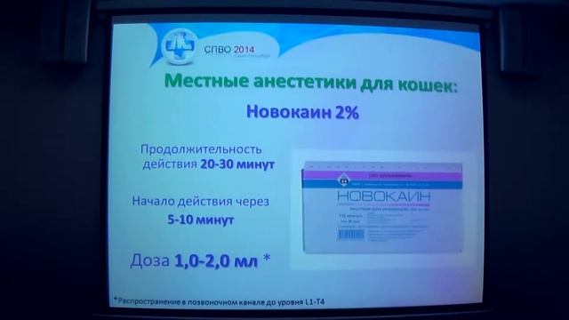 Эпидуральная анестезия. Лекция Светланы Нестеровой