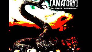 AMATORY молчи
