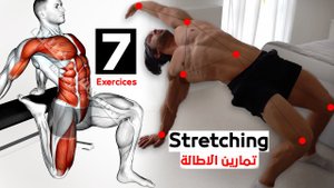 Растяжка всего тела после и до тренировки