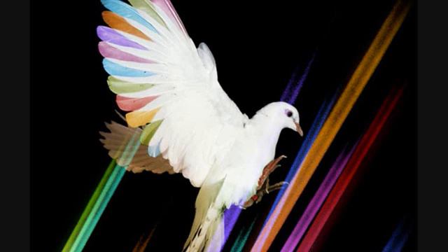 Dj Mehdi and Busy P @ The Warehouse Project 7-11-09 [9/18] смотреть онлайн