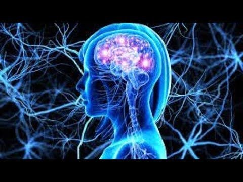 Матрицы Гаряева - лохотрон или волшебная таблетка? #матрицыгаряева