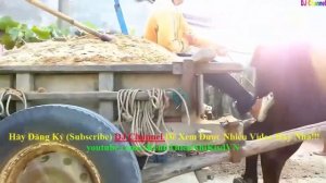 Веселая корова - детская песня