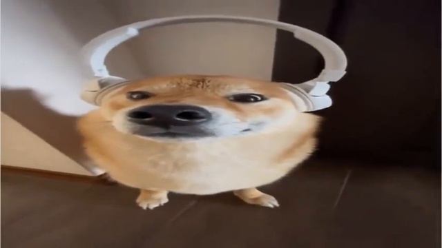 Этой ночью я на вписке побывал смотреть онлайн