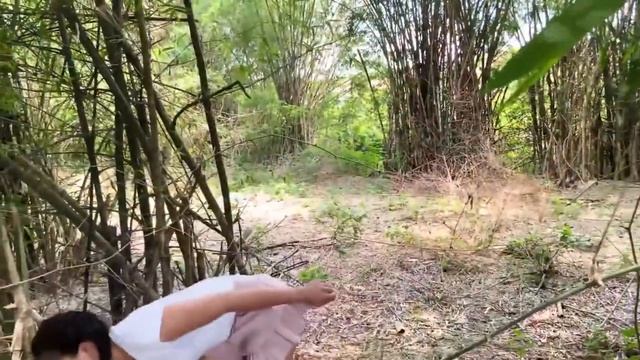 Как приготовить мидии на гриле, зажатые в бамбуковой трубке смотреть онлайн