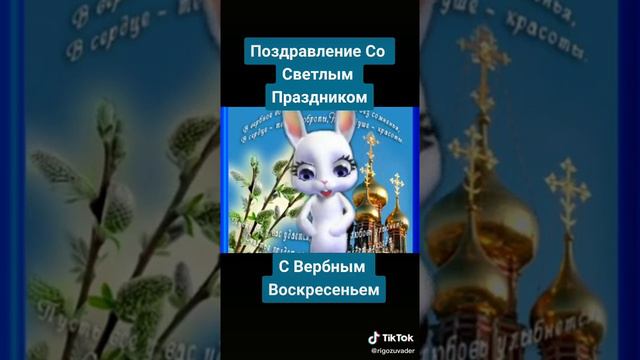 С Вербным воскресеньем поздравляю. В доме радости, тепла всегда желаю. Пусть пройдут все огорчения,