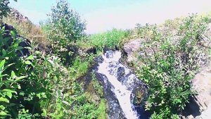 Водопад в лесу.