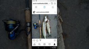 Рыбалка в Борках